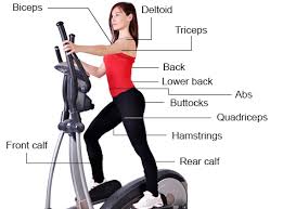 elliptical
