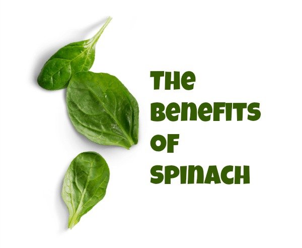 The benefits of Spinach