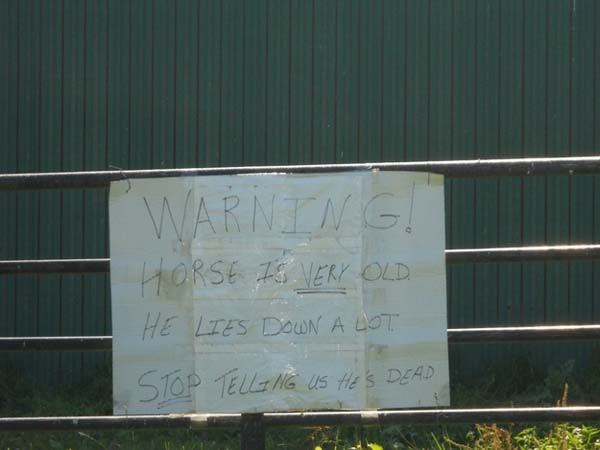 9.) Warning: napping horse