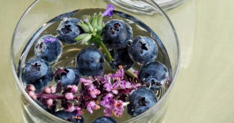 12 Water Detoxes That Burn Fat And Boost Your Immune System