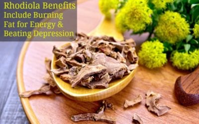 Rhodiola Benefits Include Burning Fat for Energy and Beating Depression