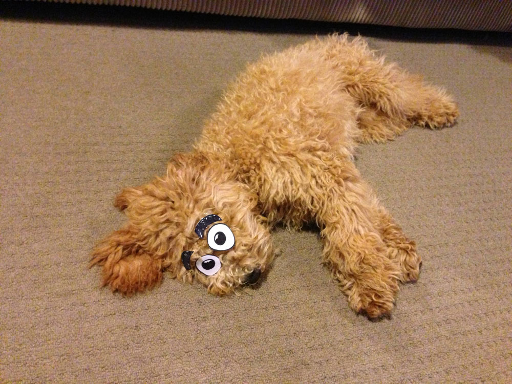 Actually yes, that looks just like Ralph the Dog from the Muppets.