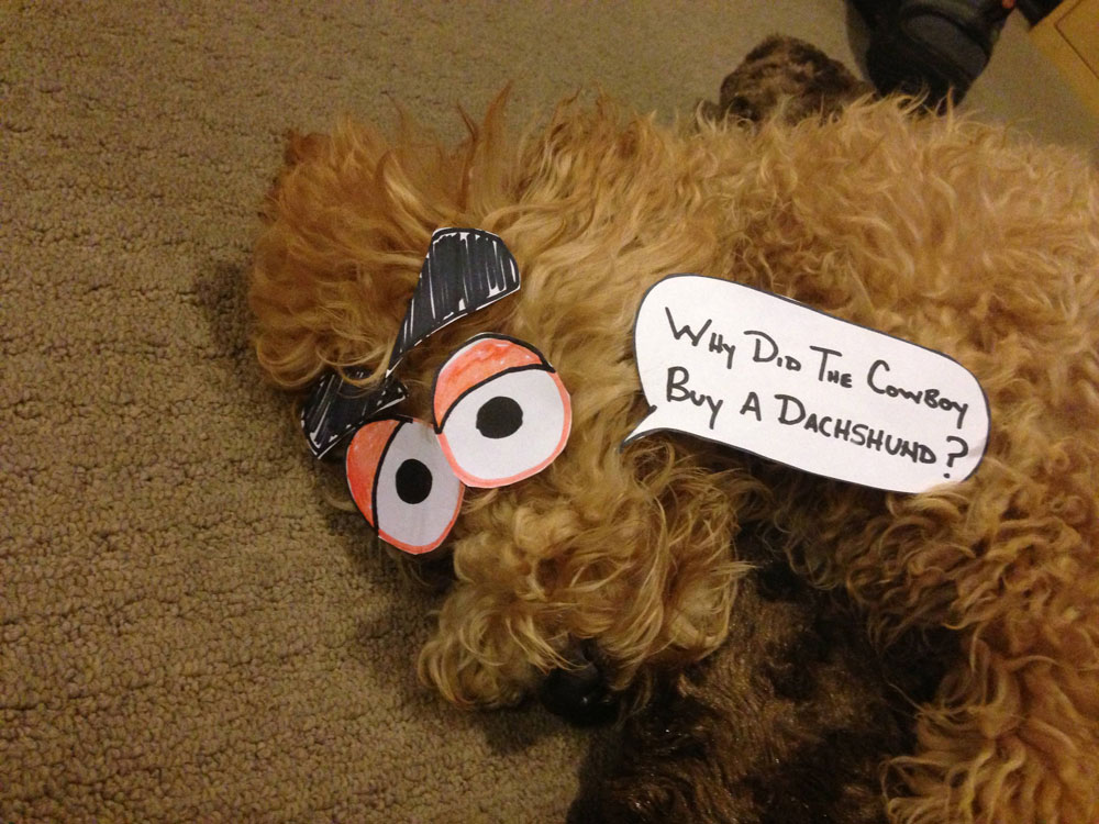 Even a bad joke becomes funny with paper eyes and speech bubbles: