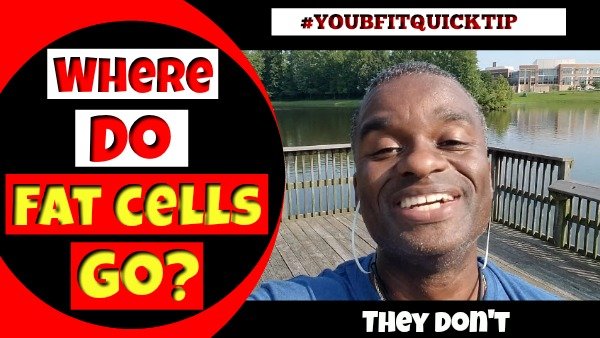 where do fat cells go- YOUBFITQUICKTIP – 600