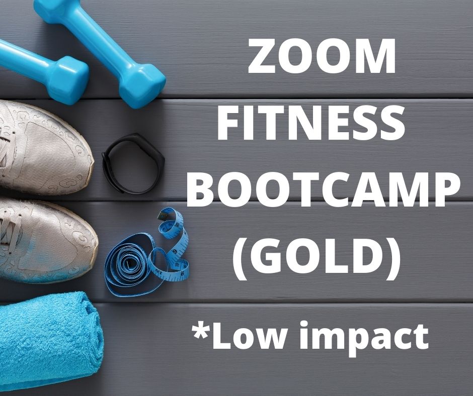 SAGE bootcamp gold - low impact -workout